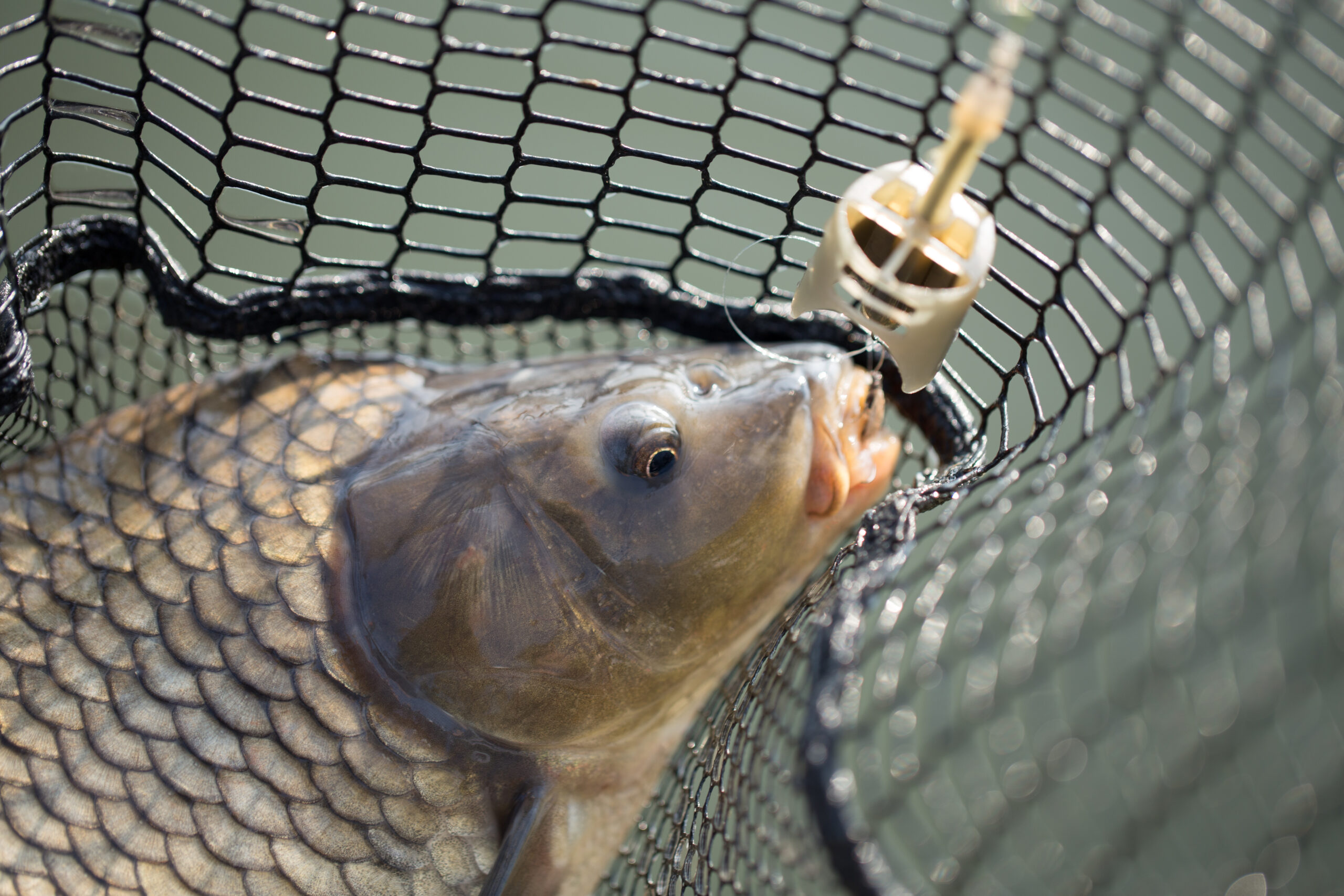 Hoe veilig is veilig - Only Fishing